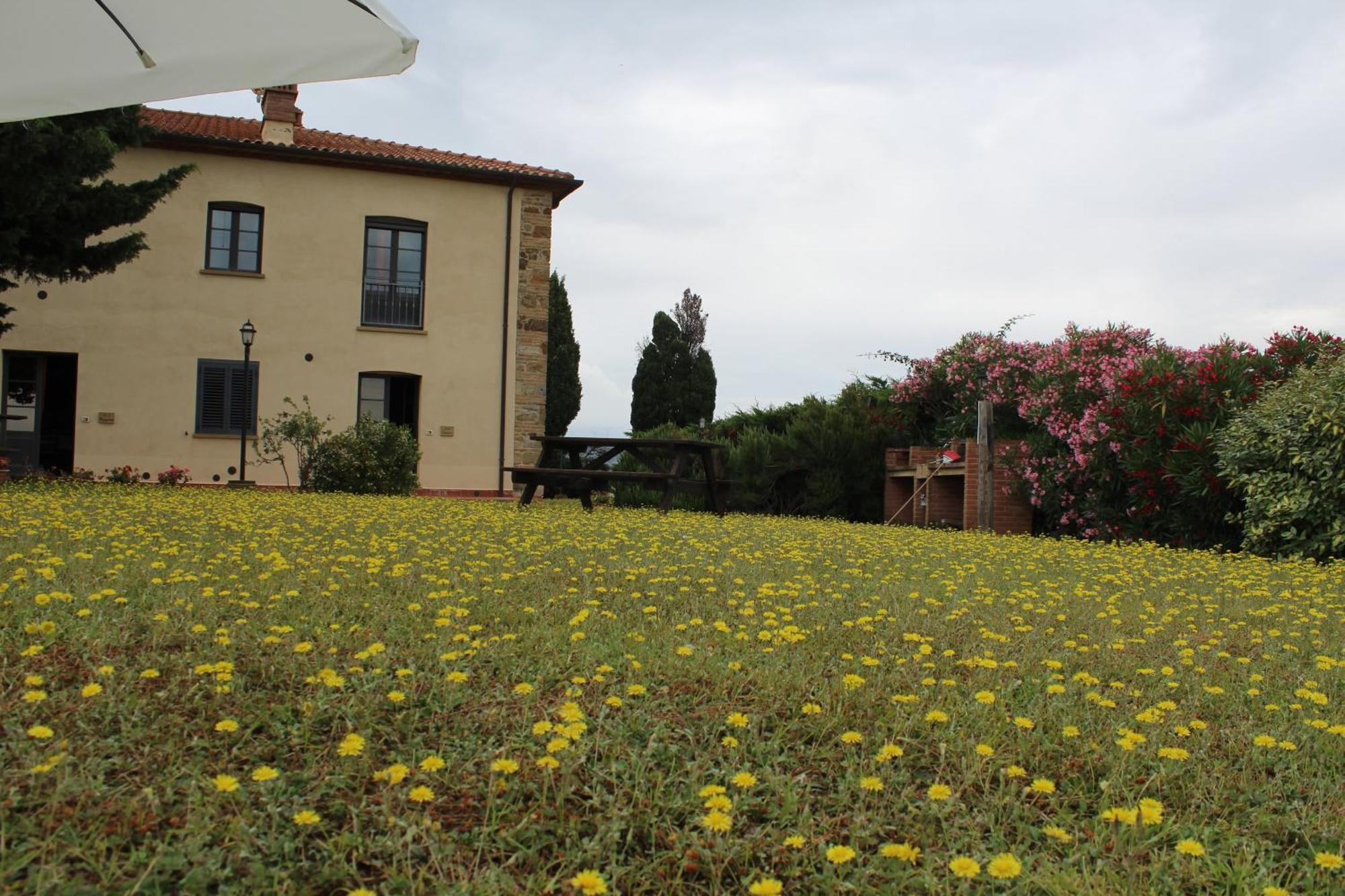 Casale Poggio Meone Daire Santa Luce Dış mekan fotoğraf
